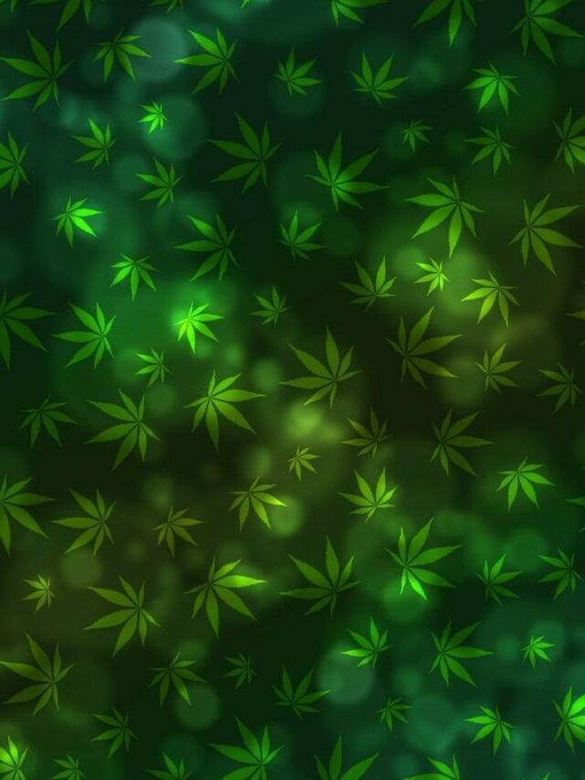 Exploring the Many Benefits of Marijuana